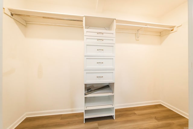 spacious closet with light wood-type flooring