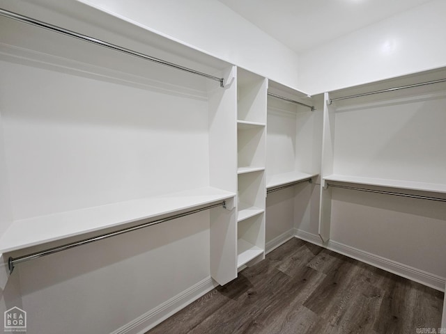 spacious closet with dark hardwood / wood-style flooring