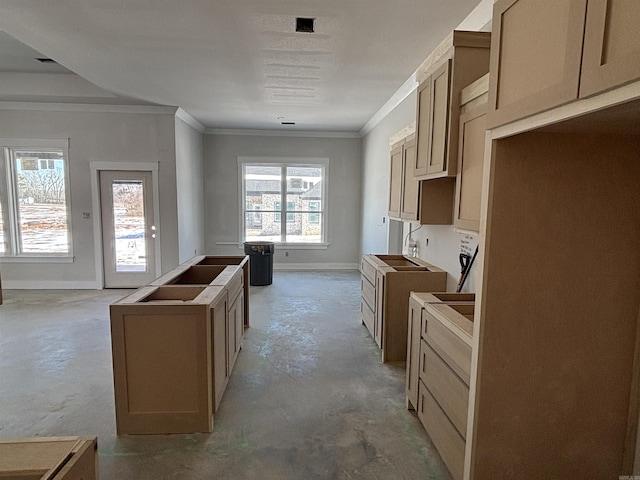 kitchen with plenty of natural light, concrete floors, baseboards, and crown molding