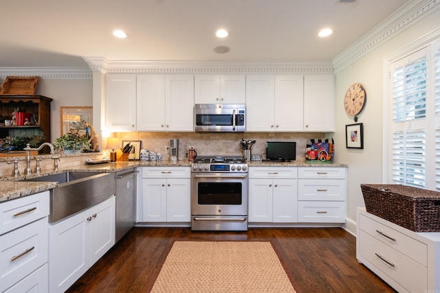 kitchen featuring dark hardwood / wood-style flooring, appliances with stainless steel finishes, sink, and crown molding