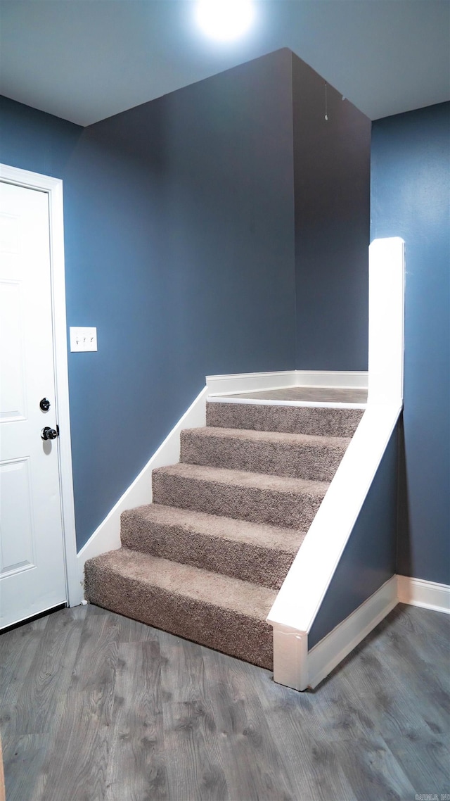 staircase featuring wood-type flooring