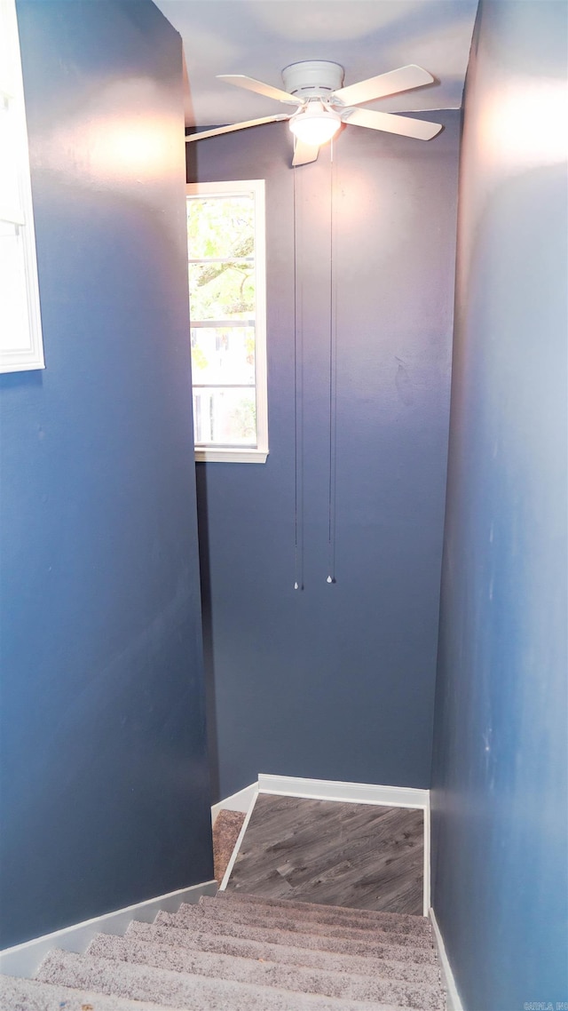 stairway featuring wood-type flooring and ceiling fan