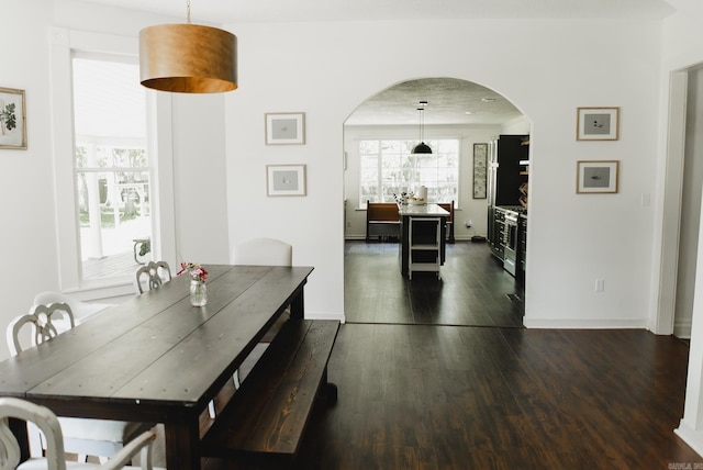 dining area with dark hardwood / wood-style flooring