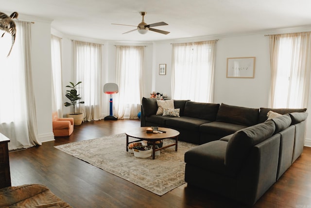 living room featuring ceiling fan, dark hardwood / wood-style floors, and ornamental molding