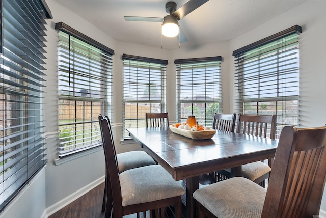 dining area featuring ceiling fan and a healthy amount of sunlight