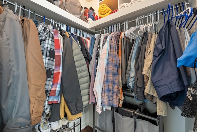 view of spacious closet