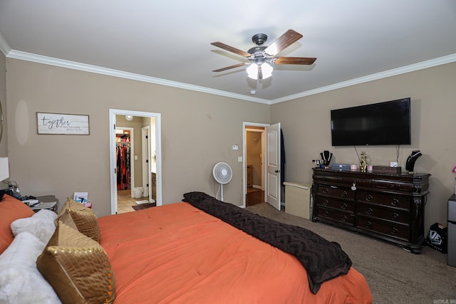 bedroom featuring ornamental molding, ceiling fan, a spacious closet, a closet, and carpet floors