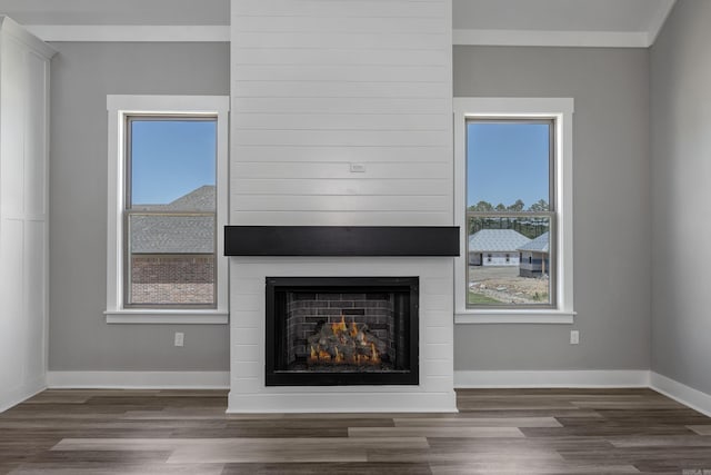 details featuring ornamental molding, a large fireplace, and hardwood / wood-style flooring