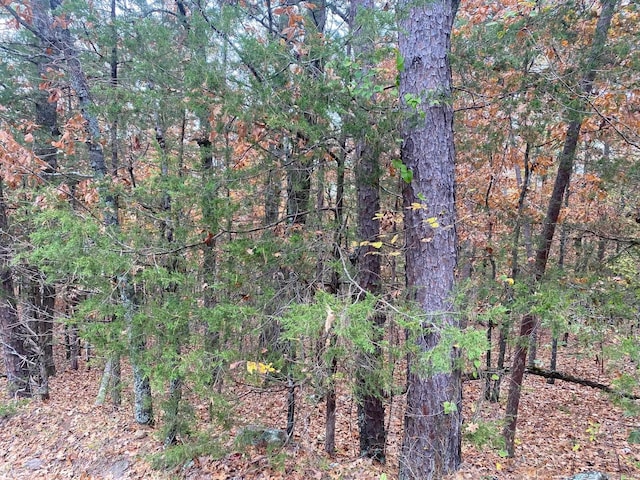 LOT70 Cedar Valley Rd, Fairfield Bay AR, 72088 land for sale