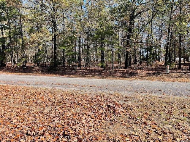 Listing photo 3 for LOT267RBLK15 Ridgeview Dr, Fairfield Bay AR 72088