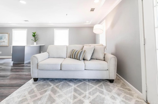 living room with a healthy amount of sunlight and dark hardwood / wood-style floors