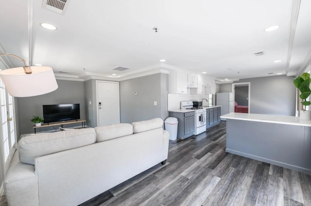 living room featuring dark hardwood / wood-style flooring, sink, and crown molding