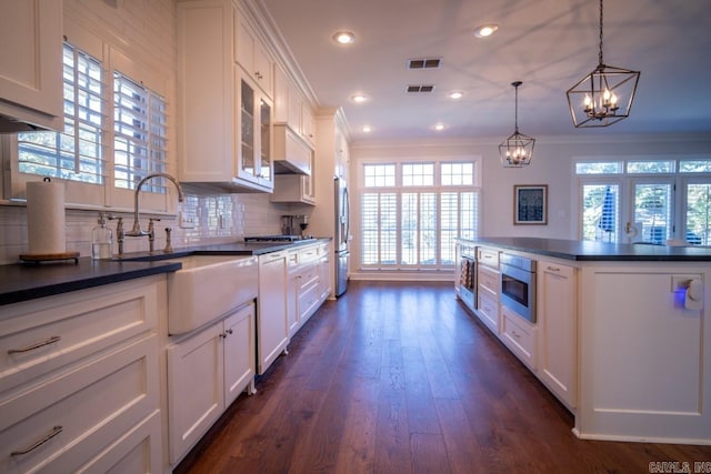 kitchen with plenty of natural light, dark wood-type flooring, stainless steel appliances, and white cabinets