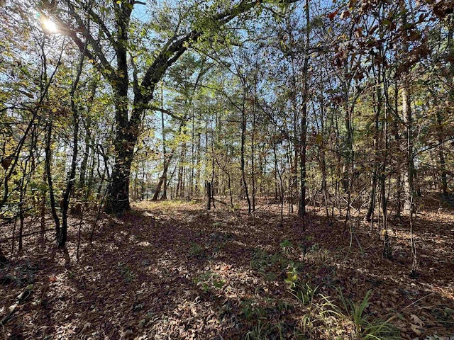 Listing photo 2 for 5.1ACRES Mcgee Rd, Benton AR 72019