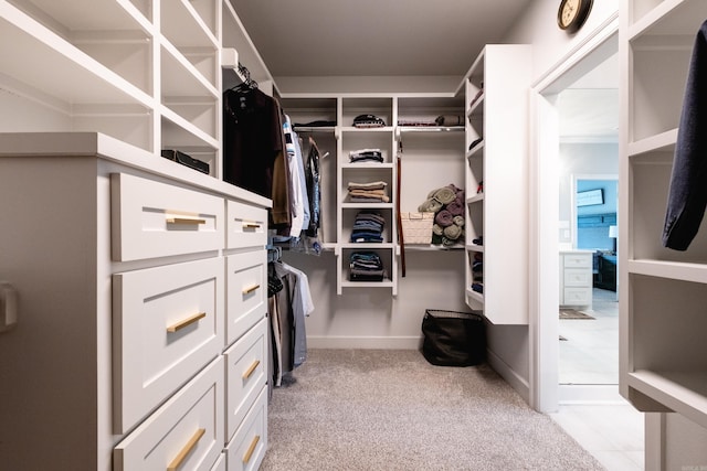 spacious closet with light colored carpet