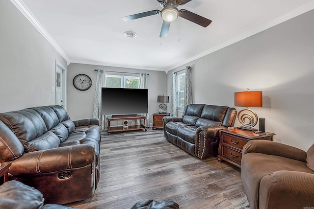 living room with hardwood / wood-style floors, ceiling fan, and ornamental molding