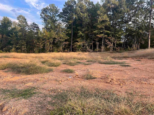 Listing photo 3 for LOT52 Harmony Vlg, Benton AR 72015