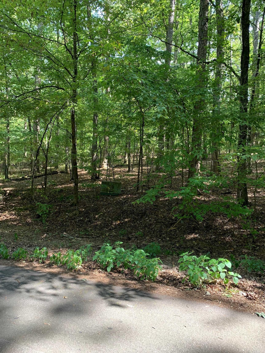 44 Sabiote Way, Hot Springs Village, AR 71909