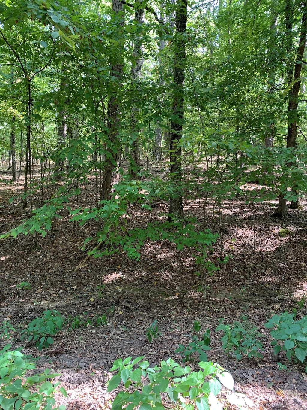 44 Sabiote Way, Hot Springs Village, AR 71909