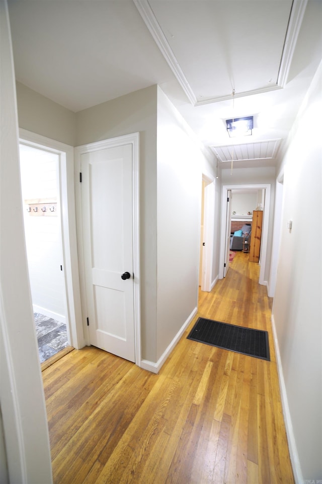 corridor with hardwood / wood-style flooring