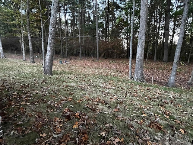 view of local wilderness