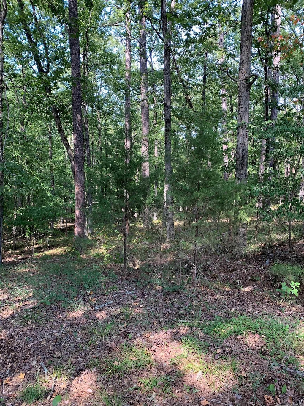 27 Raton Ln, Hot Springs Village, AR 71909
