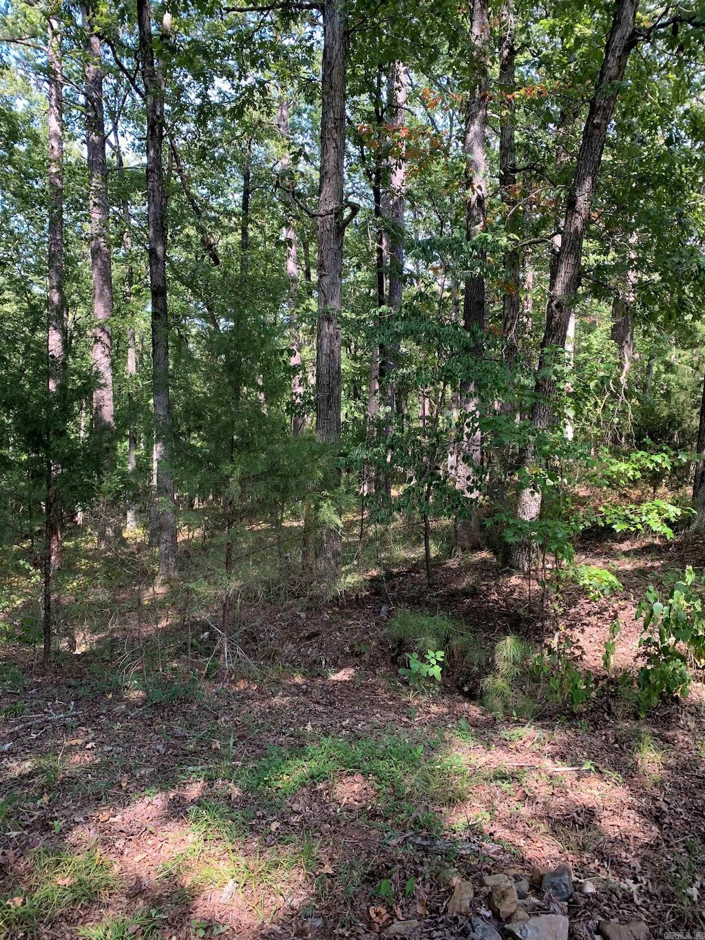 27 Raton Ln, Hot Springs Village, AR 71909
