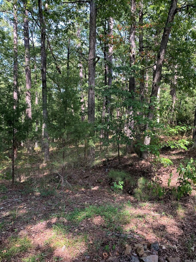 27 Raton Ln, Hot Springs Village, AR 71909