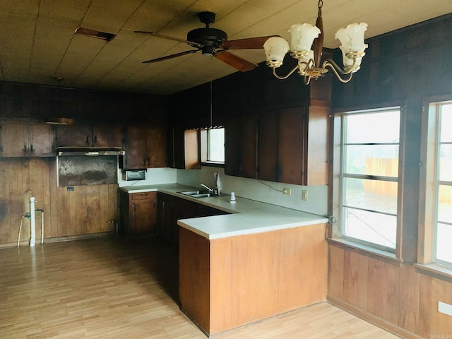 kitchen with light hardwood / wood-style floors, wooden walls, dark brown cabinets, and a healthy amount of sunlight