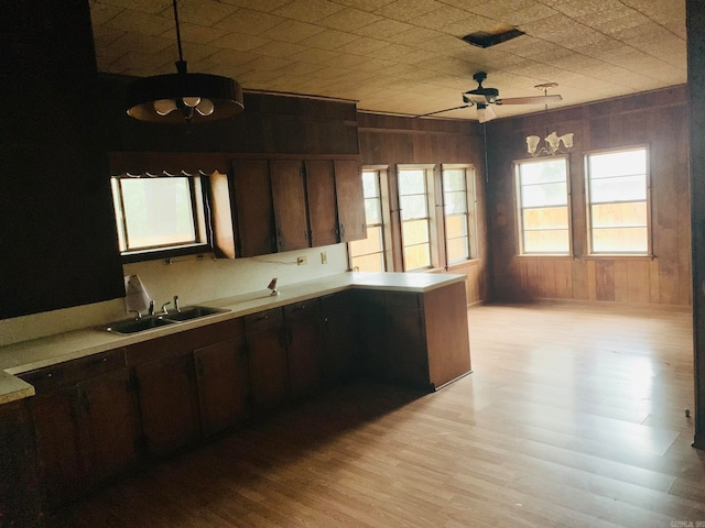 kitchen with pendant lighting, light wood-type flooring, wood walls, and sink