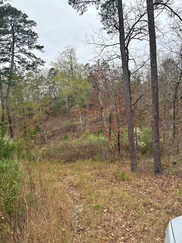 Listing photo 3 for 0 Red Hawk Cir, Paron AR 72122