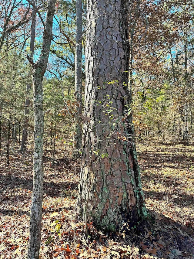 Listing photo - caption unavailable