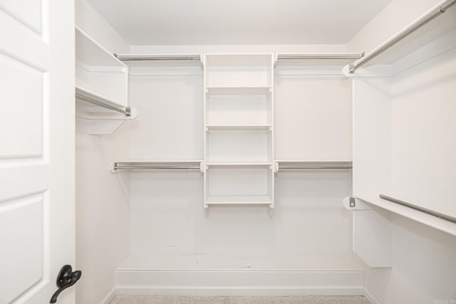 view of walk in closet