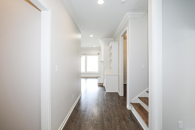 hall featuring ornamental molding and dark hardwood / wood-style floors