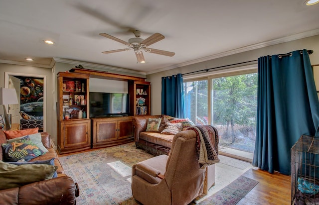 living room featuring ornamental molding, light hardwood / wood-style flooring, and ceiling fan