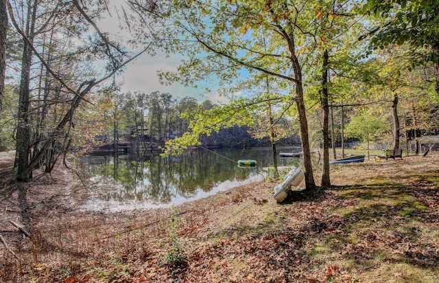 property view of water