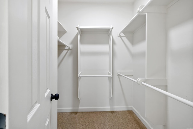 walk in closet featuring carpet