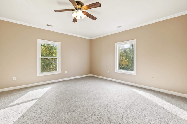 empty room with ceiling fan, ornamental molding, and carpet