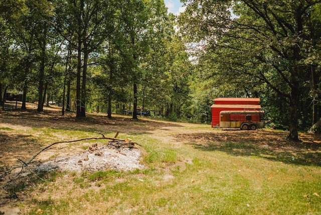 view of yard featuring a storage unit