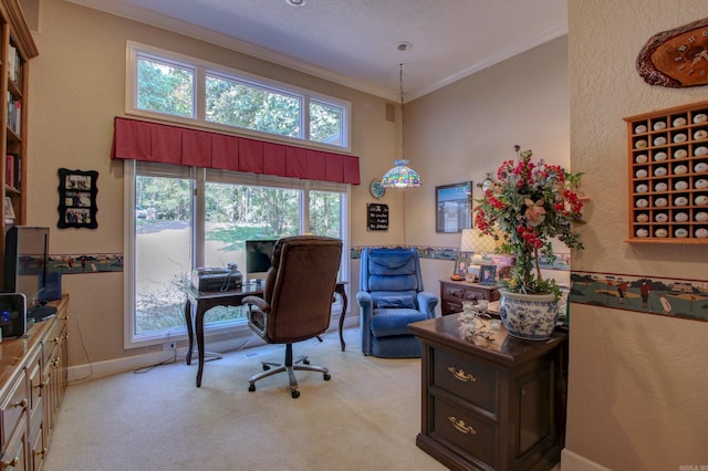 carpeted home office featuring a textured ceiling and ornamental molding