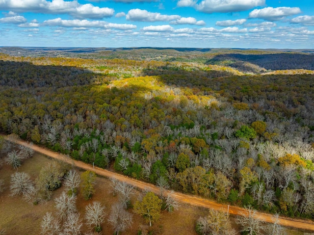 Hulett Rd, Evening Shade AR, 72532 land for sale