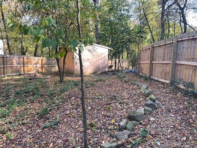 view of yard featuring a shed