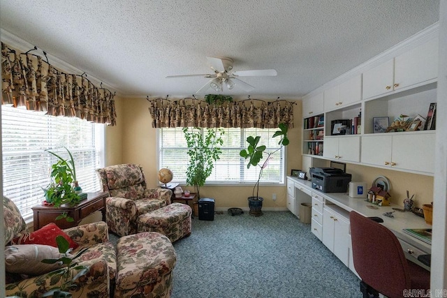 interior space featuring white cabinets, ceiling fan, and carpet floors