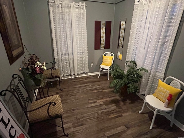 living area featuring dark wood-type flooring