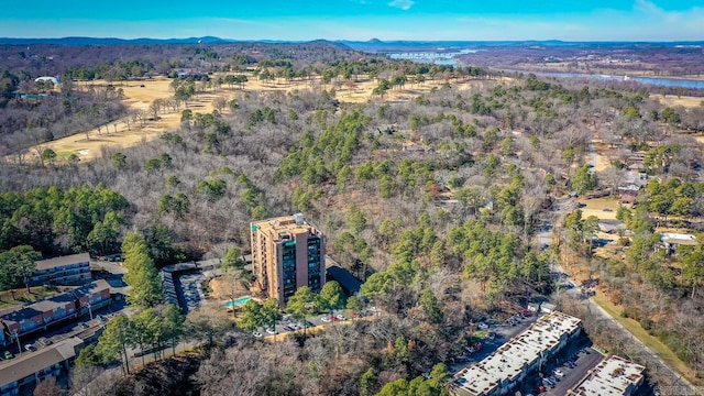 drone / aerial view featuring a forest view and a mountain view