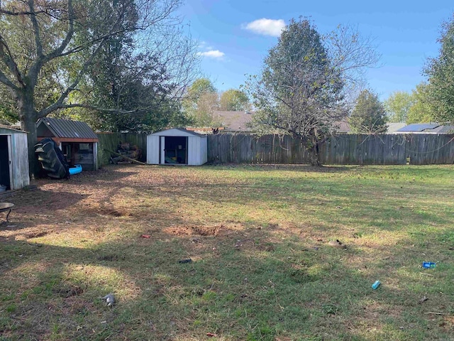 view of yard featuring a storage unit