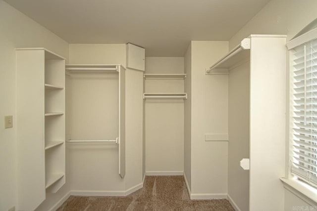 spacious closet with carpet floors