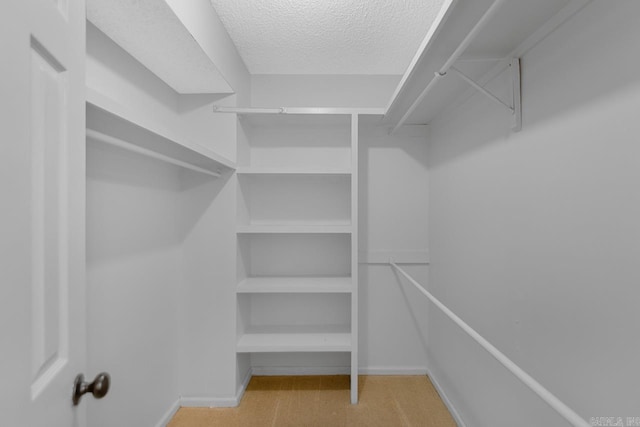 spacious closet with light colored carpet