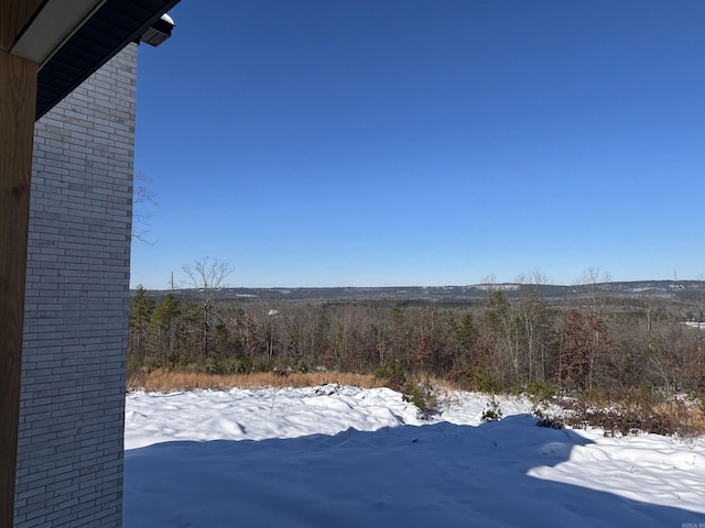 view of snowy yard