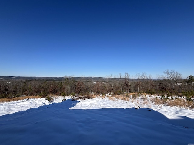 view of yard covered in snow